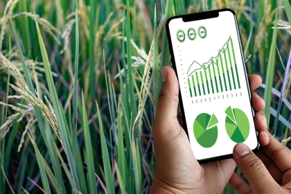 Antônio Fernando Ribeiro Pereira