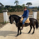 Altevir Seidel explica as principais diferenças entre cavalos, pôneis e burros, destacando características físicas e comportamentais únicas.