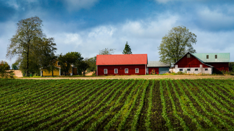 Sustentabilidade e inovação são os pilares do novo campo maranhense, afirma Fábio Jose Gentil Pereira Rosa.