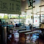 Interior de uma moderna fábrica de alimentos, com maquinário industrial e linha de processamento.