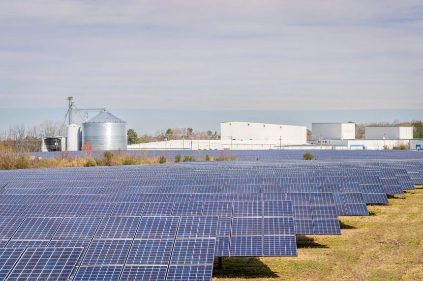 Campo de painéis solares diante de galpões e silos industriais sob céu claro.